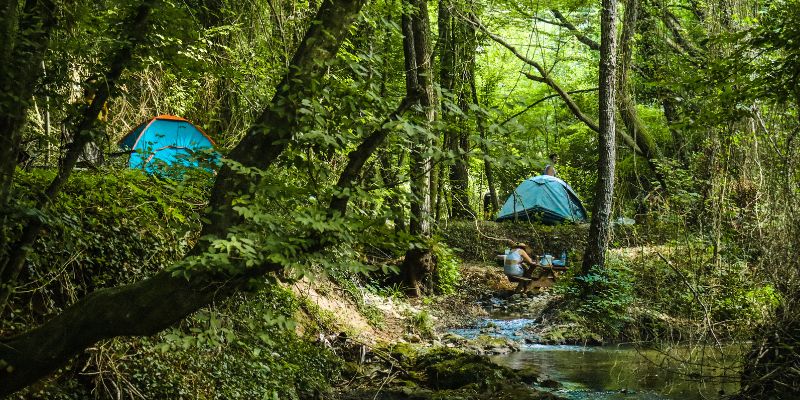 Rainforest Retreats